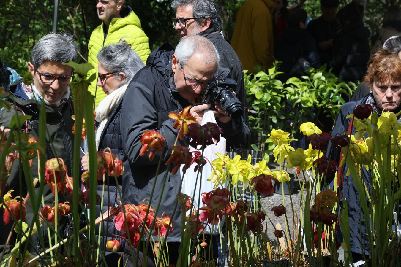 Miles de personas visitan la Feria de Plantas de Iturraran