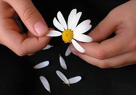 Ya no quedan margaritas