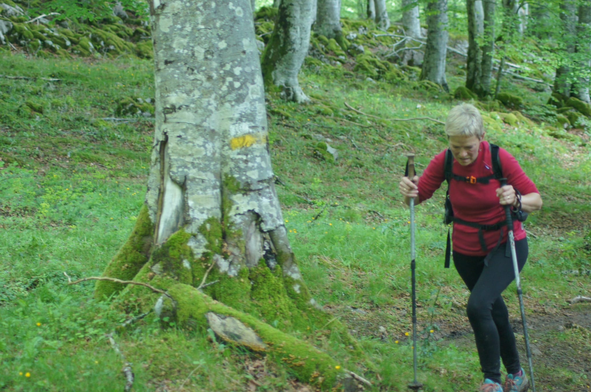 Comienza la cuenta atrás para la marcha regulada XIV Orduak