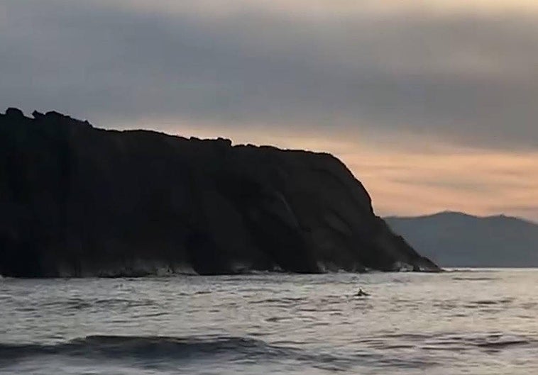 Un delfín mular se deja ver en la playa de Itzurun de Zumaia