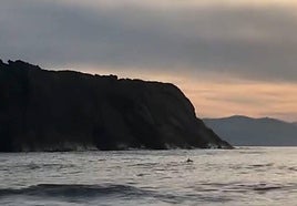 Un delfín mular se deja ver en la playa de Itzurun de Zumaia