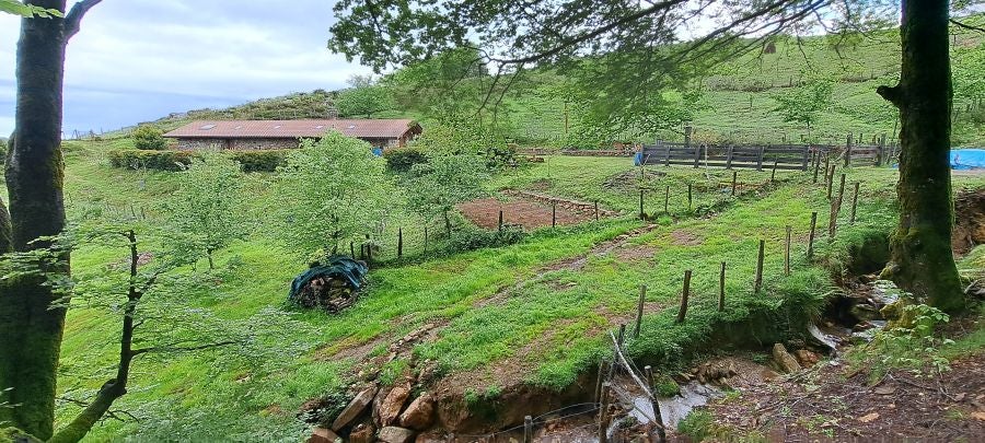 Baztarla: la melodía del monte sobre Leitza