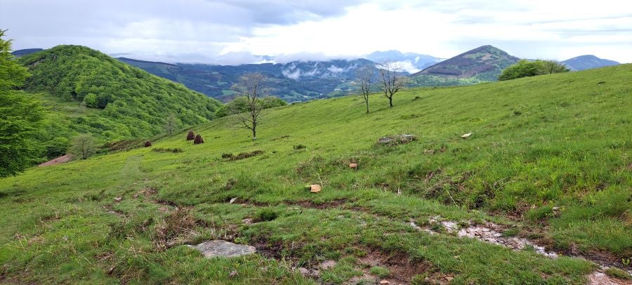 Baztarla: la melodía del monte sobre Leitza