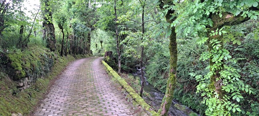 Baztarla: la melodía del monte sobre Leitza