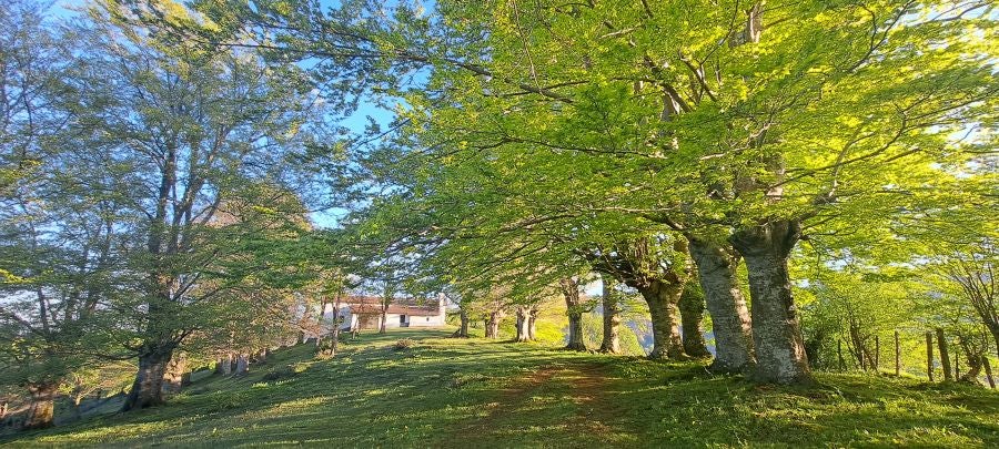 Ireber, muy popular entre los senderistas