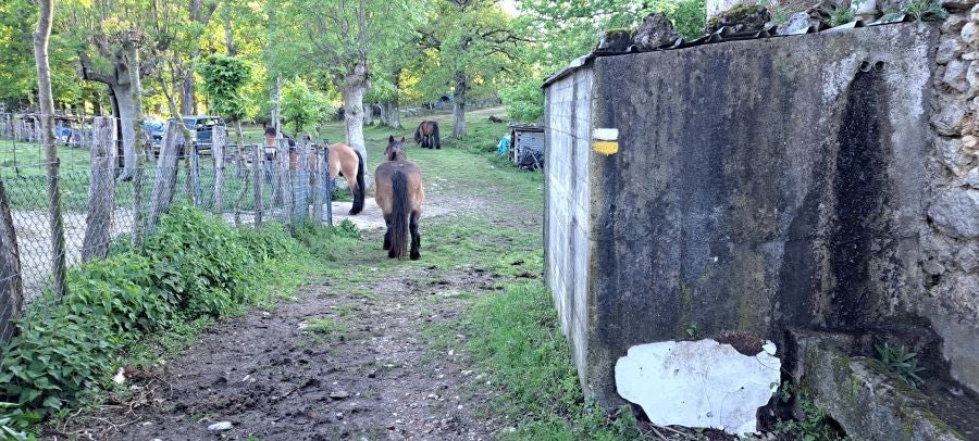 Ireber, muy popular entre los senderistas