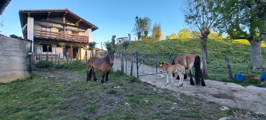 Ireber, muy popular entre los senderistas