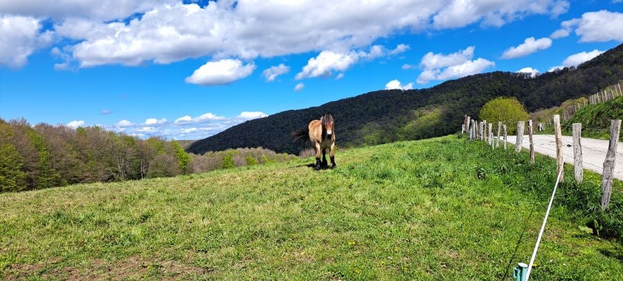 Ireber, muy popular entre los senderistas