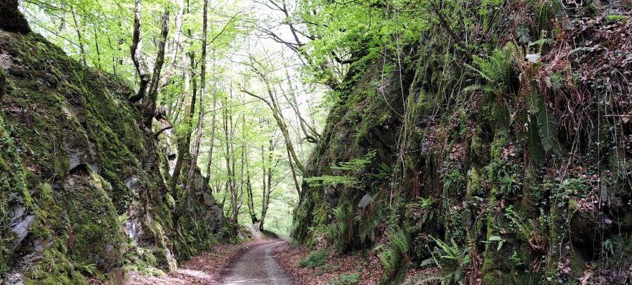 Ireber, muy popular entre los senderistas