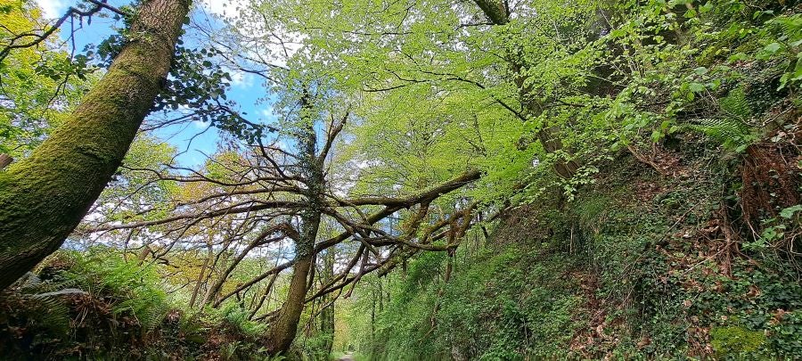 Ireber, muy popular entre los senderistas