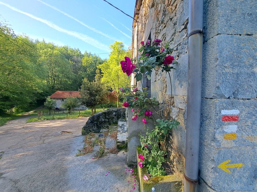 La belleza natural del Hernio