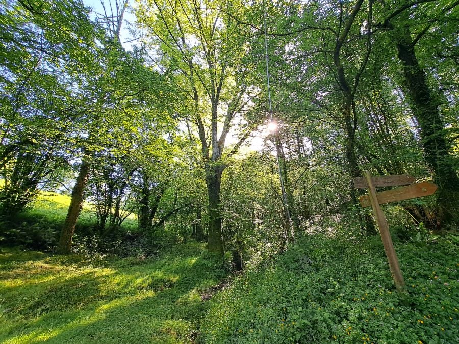 La belleza natural del Hernio