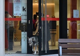 Kutxabank añade una función a su aplicación para impulsar el ahorro entre los jóvenes