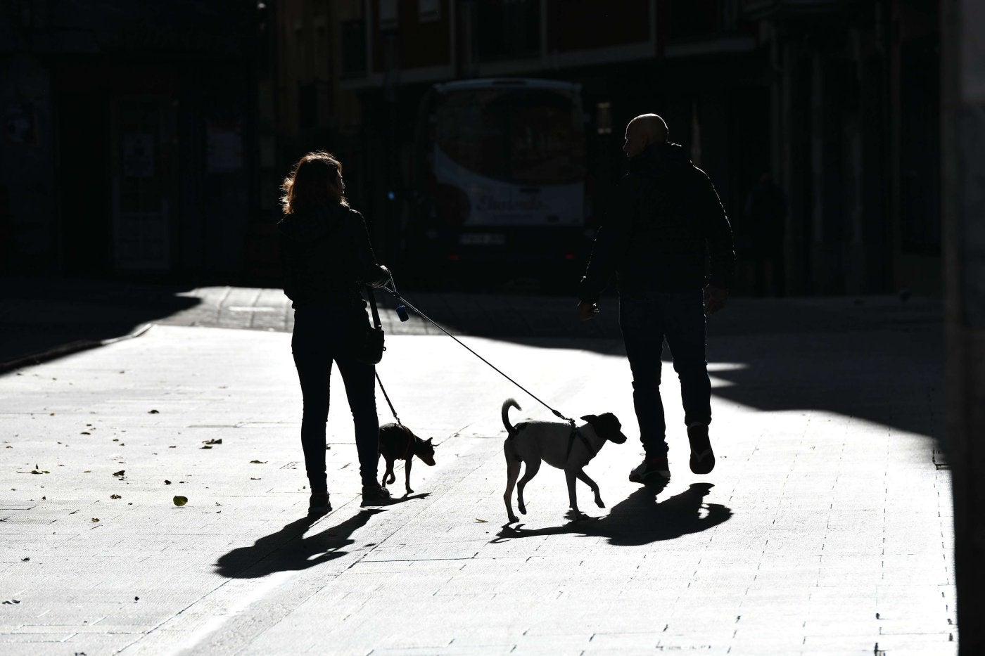 Dos personas paseando los perros.