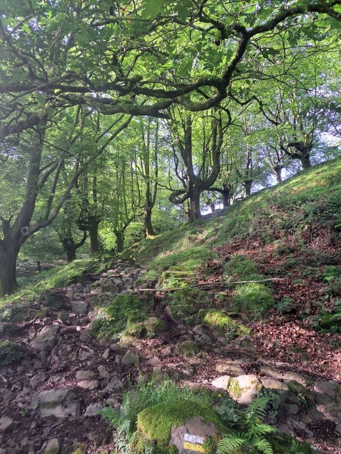 Oindo, un enclave mágico