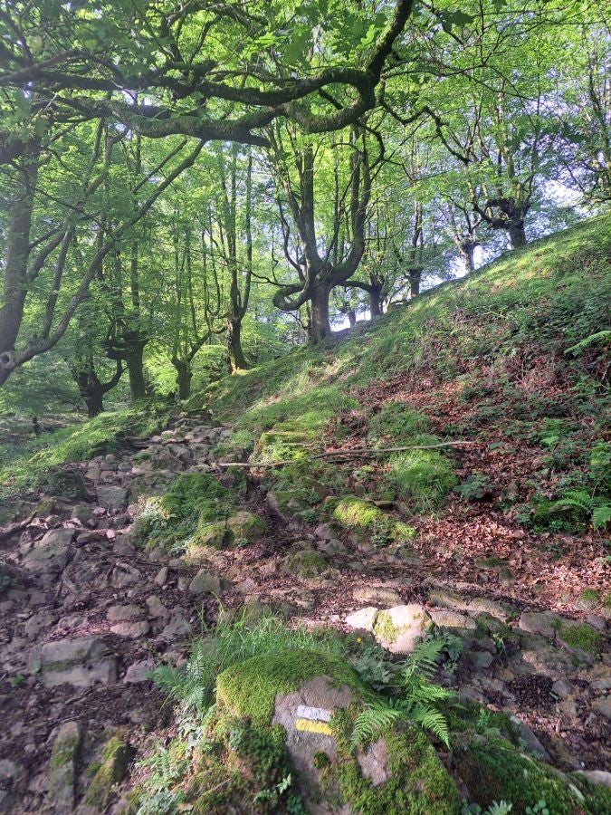 Oindo, un enclave mágico