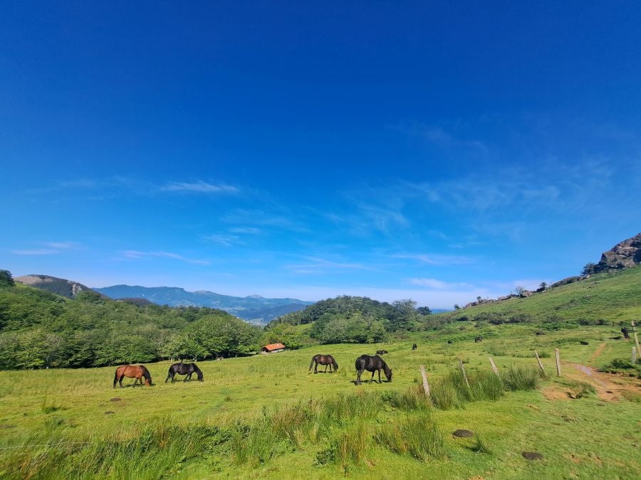 Oindo, un enclave mágico