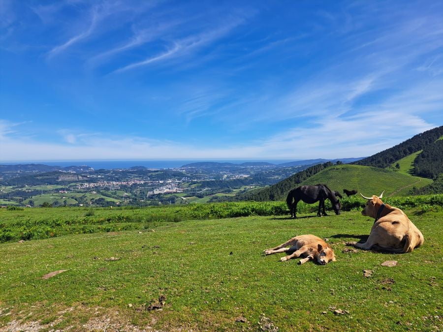 Oindo, un enclave mágico