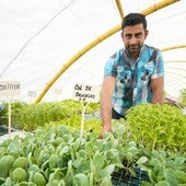 «Cultivo y vendo verduras y plantas. ¿Las horas? No las cuento»