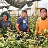 «Todos los inmigrantes hemos vivido situaciones de explotación laboral»