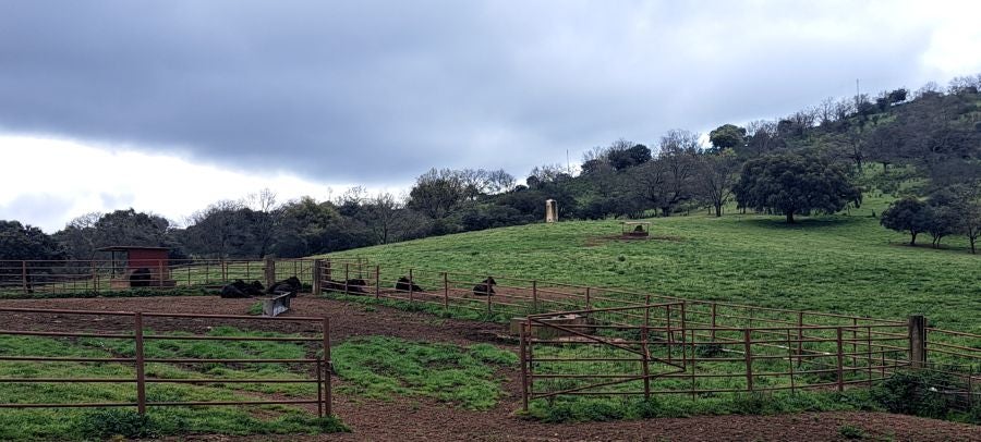 Malvana, un mirador a la Sierra de Gata