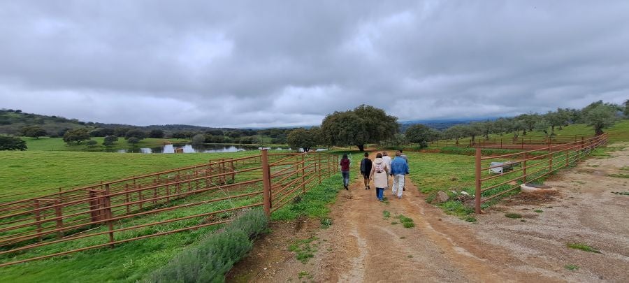 Malvana, un mirador a la Sierra de Gata