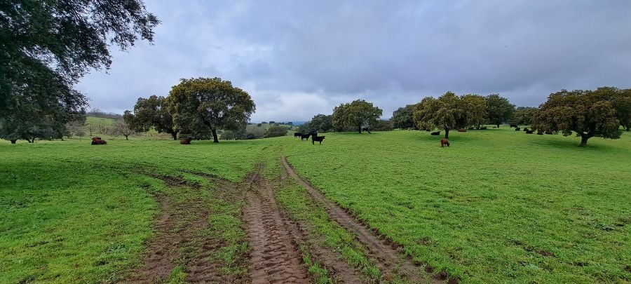 Malvana, un mirador a la Sierra de Gata