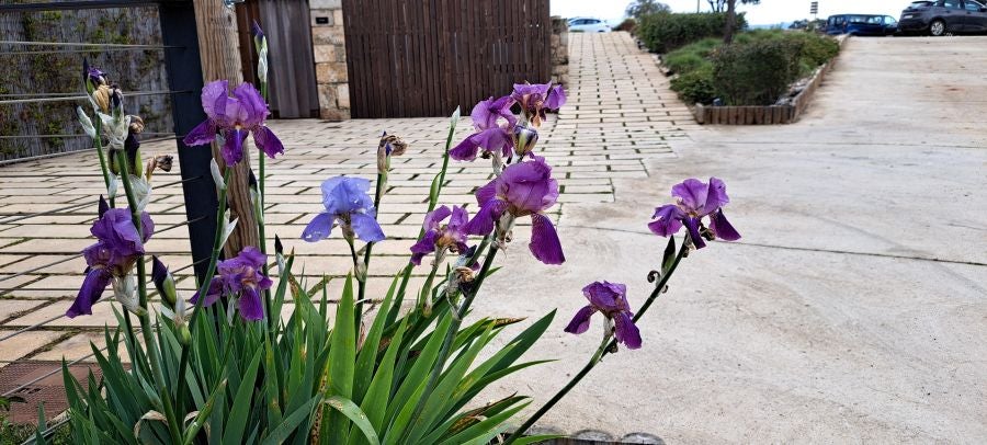 Malvana, un mirador a la Sierra de Gata