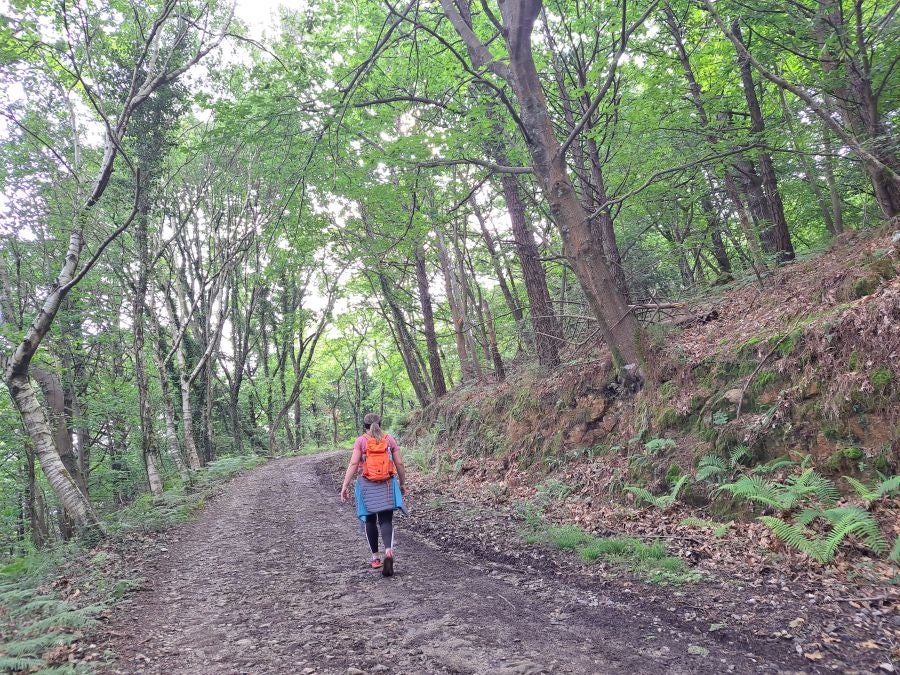 Paseo hasta la cima de Andatza
