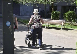 Una mujer mayor pasea con su andador por las calles de Tolosa.