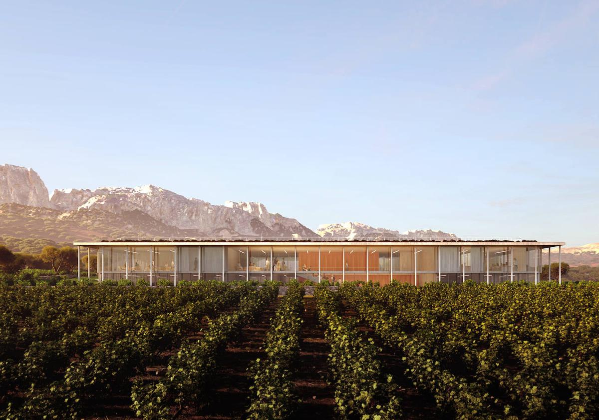 Imagen principal - El gran campus del vino del BCC en Álava estará diseñado por el estudio portugués Carvalho Araújo