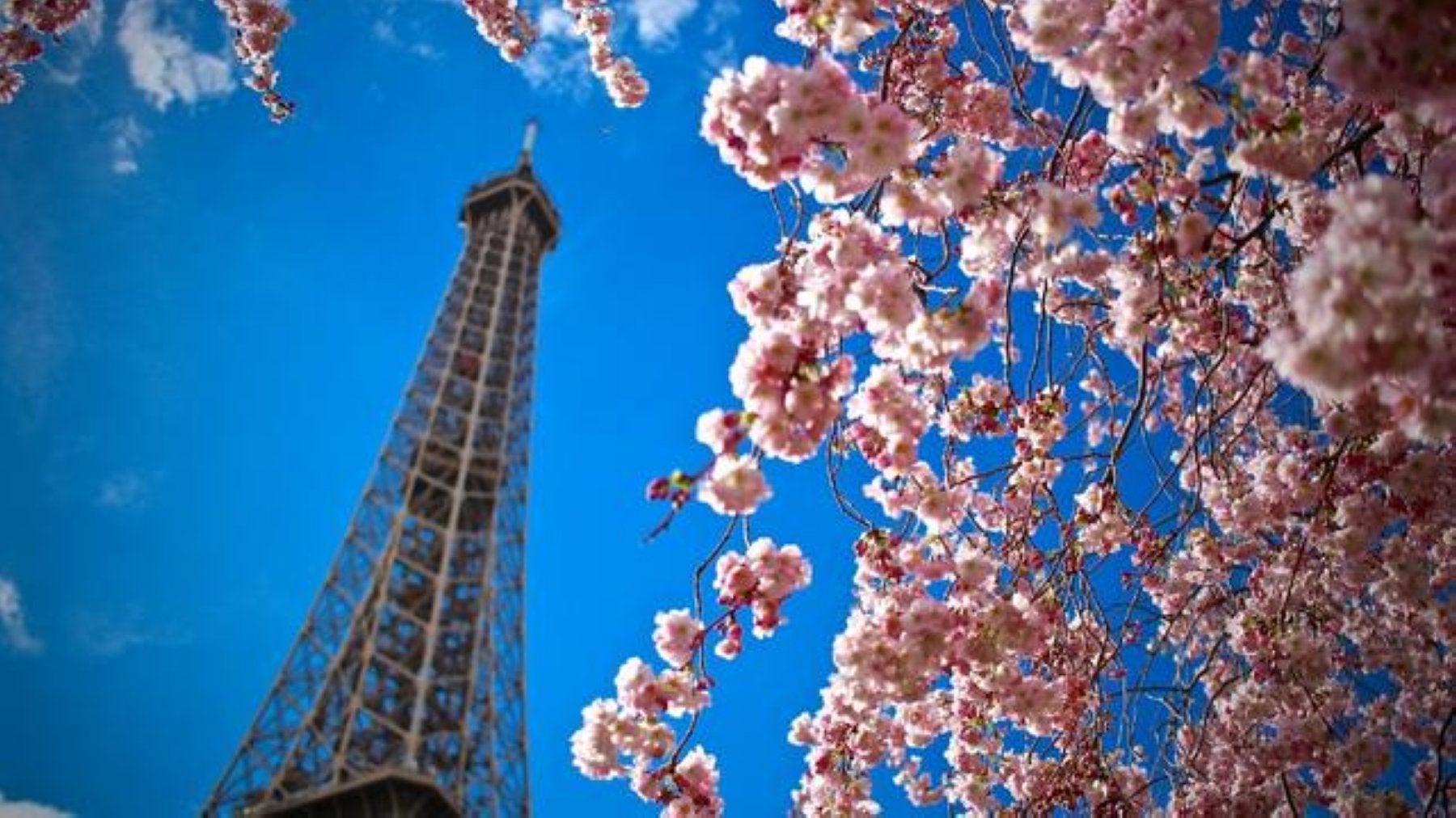 La campaña al Elíseo más larga de la historia