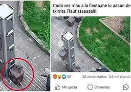 Publicación de Facebook que denuncia la presencia de ratas en Hernani.