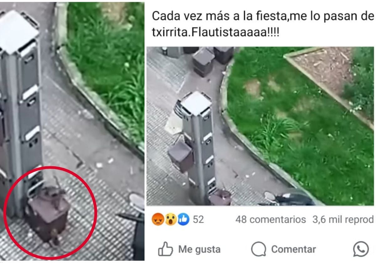 Publicación de Facebook que denuncia la presencia de ratas en Hernani.