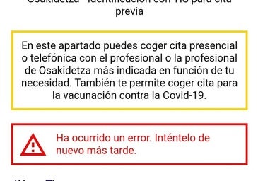 Sin cita previa online en Osakidetza, con problemas en bancos como Kutxabank o Abanca y retrasos en aeropuertos