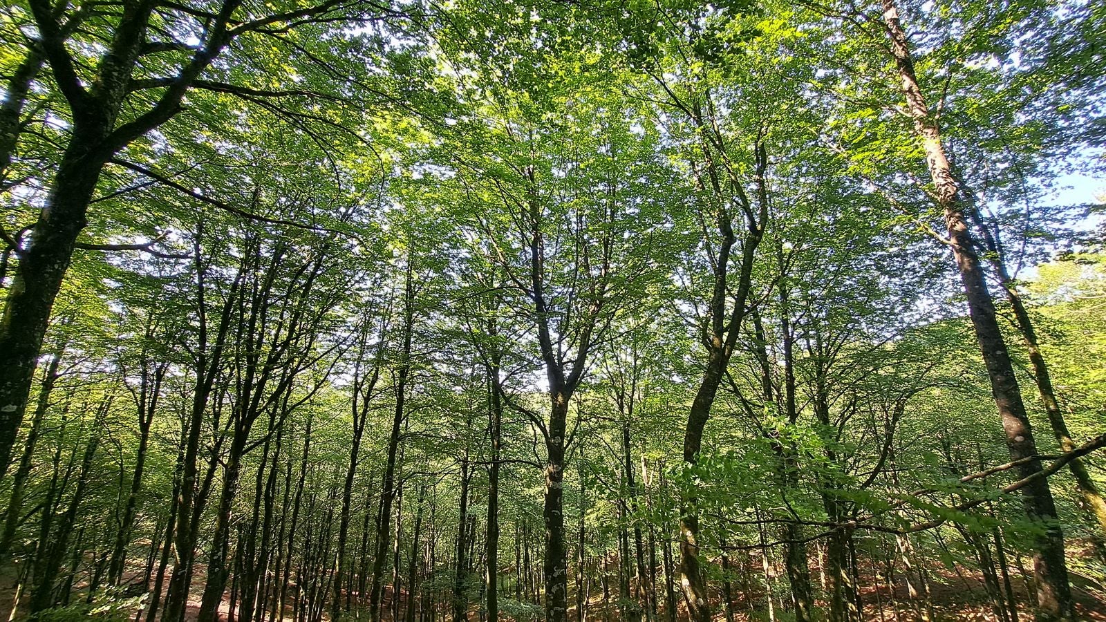 Magia y mitología en una de las bellezas naturales de Navarra