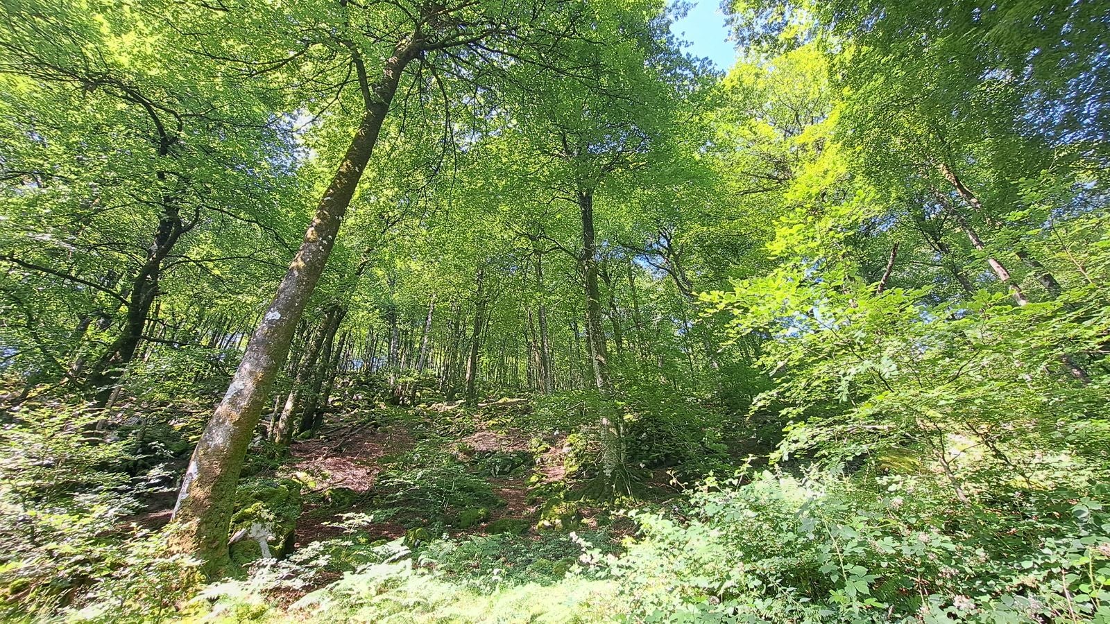 Magia y mitología en una de las bellezas naturales de Navarra