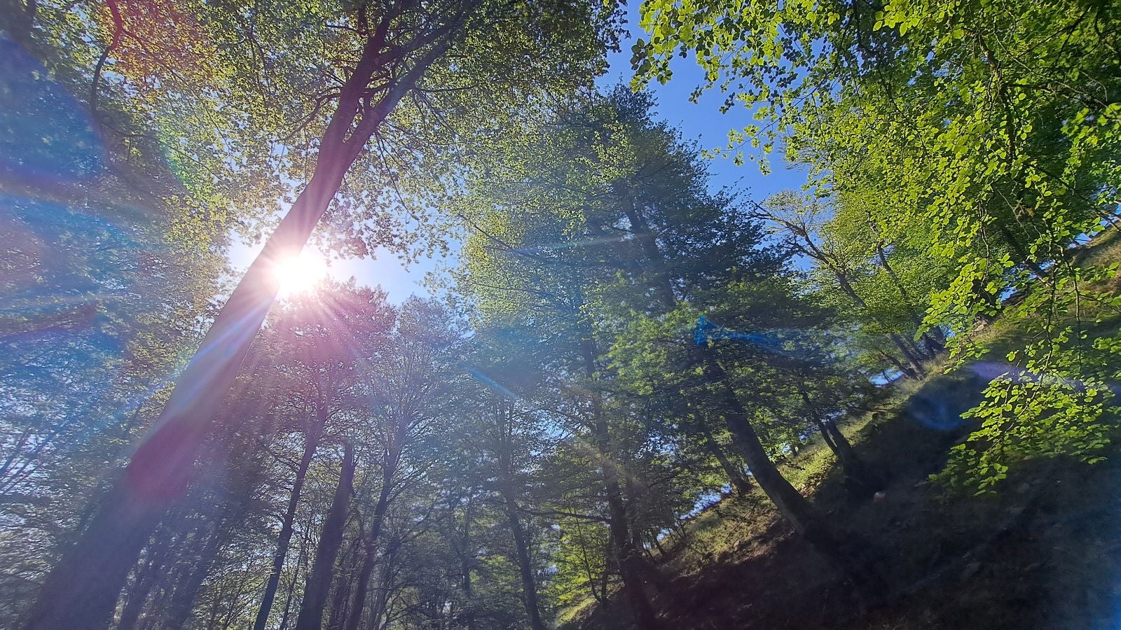 Magia y mitología en una de las bellezas naturales de Navarra