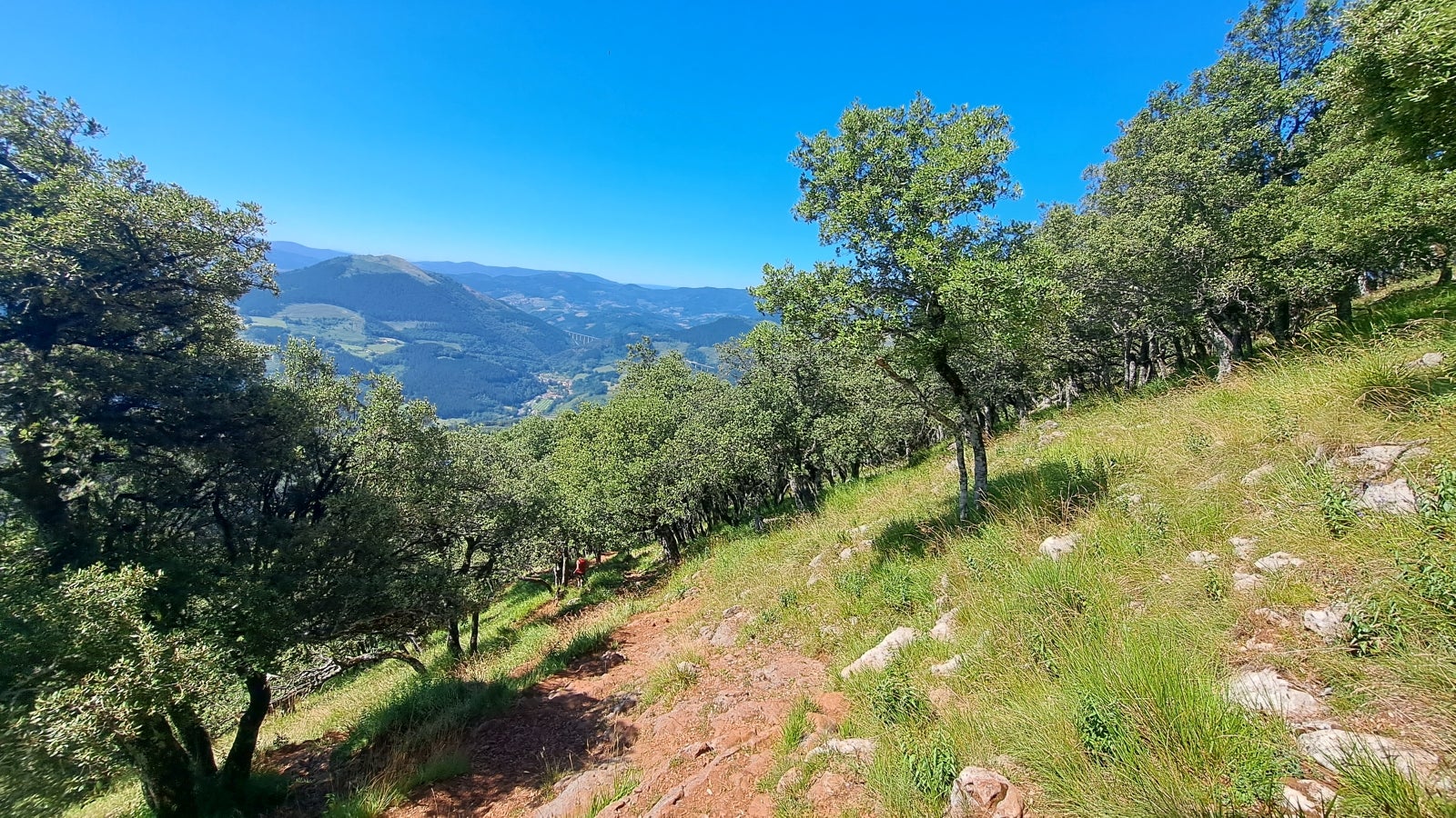 Udalatx, el gran escaparate de la muga