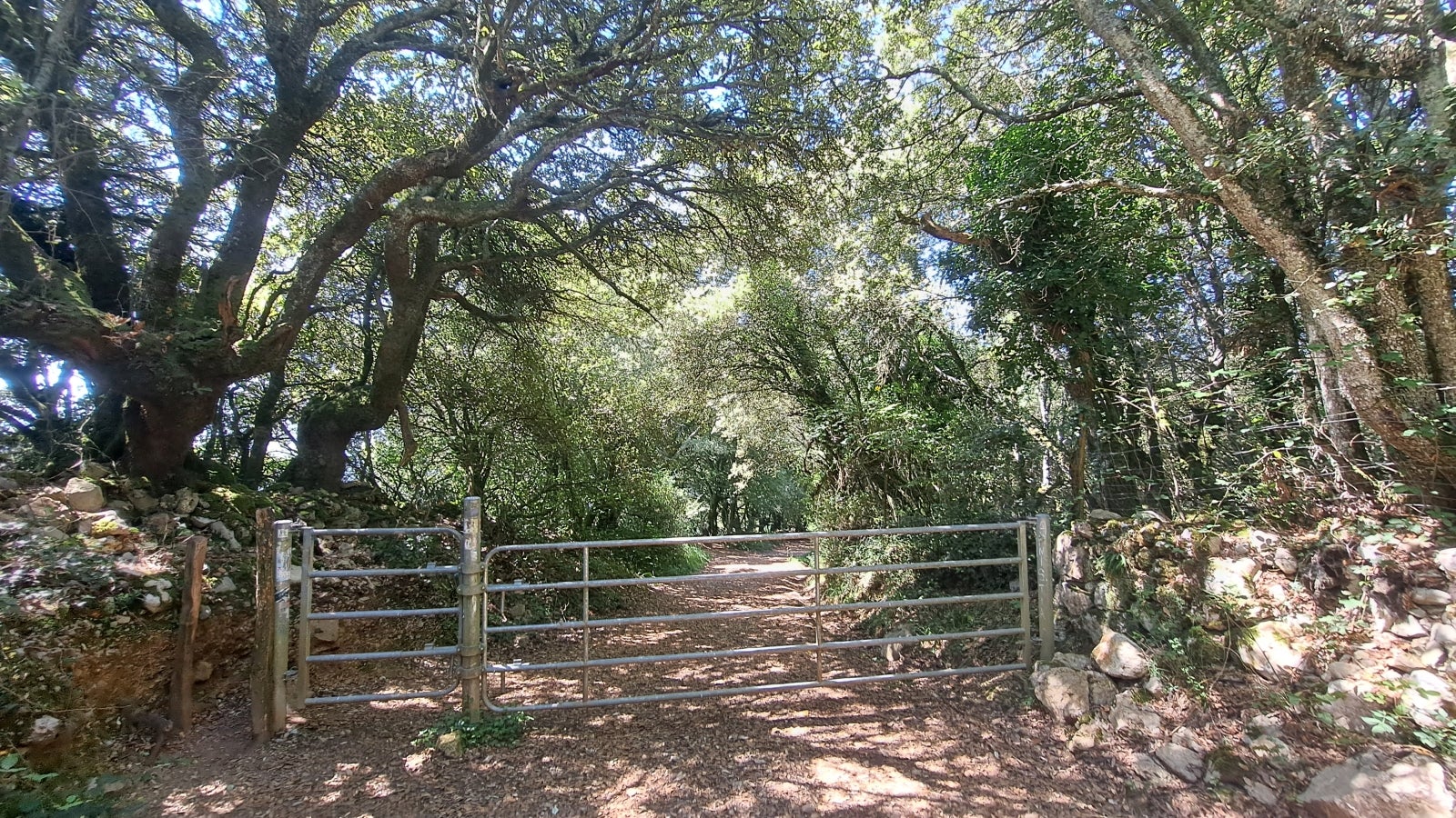 Udalatx, el gran escaparate de la muga