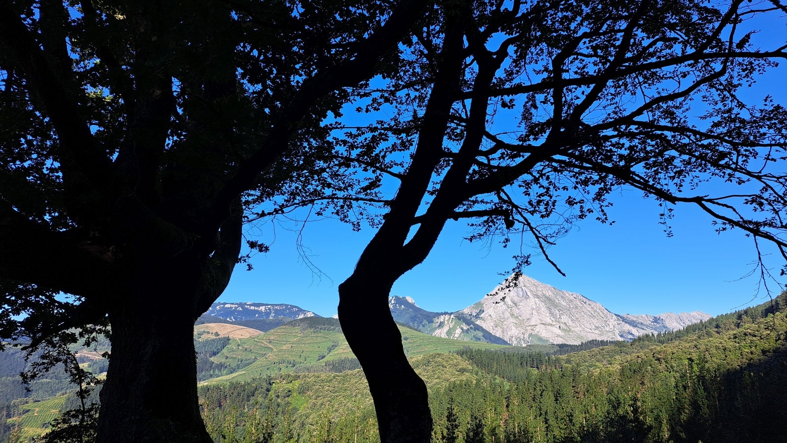 Udalatx, el gran escaparate de la muga