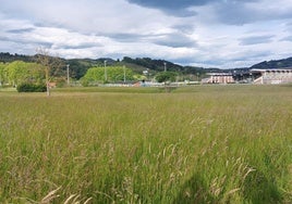 Terrenos en la parte de atrás del campo de fútbol de Asti, donde se proyecta la ampliación.