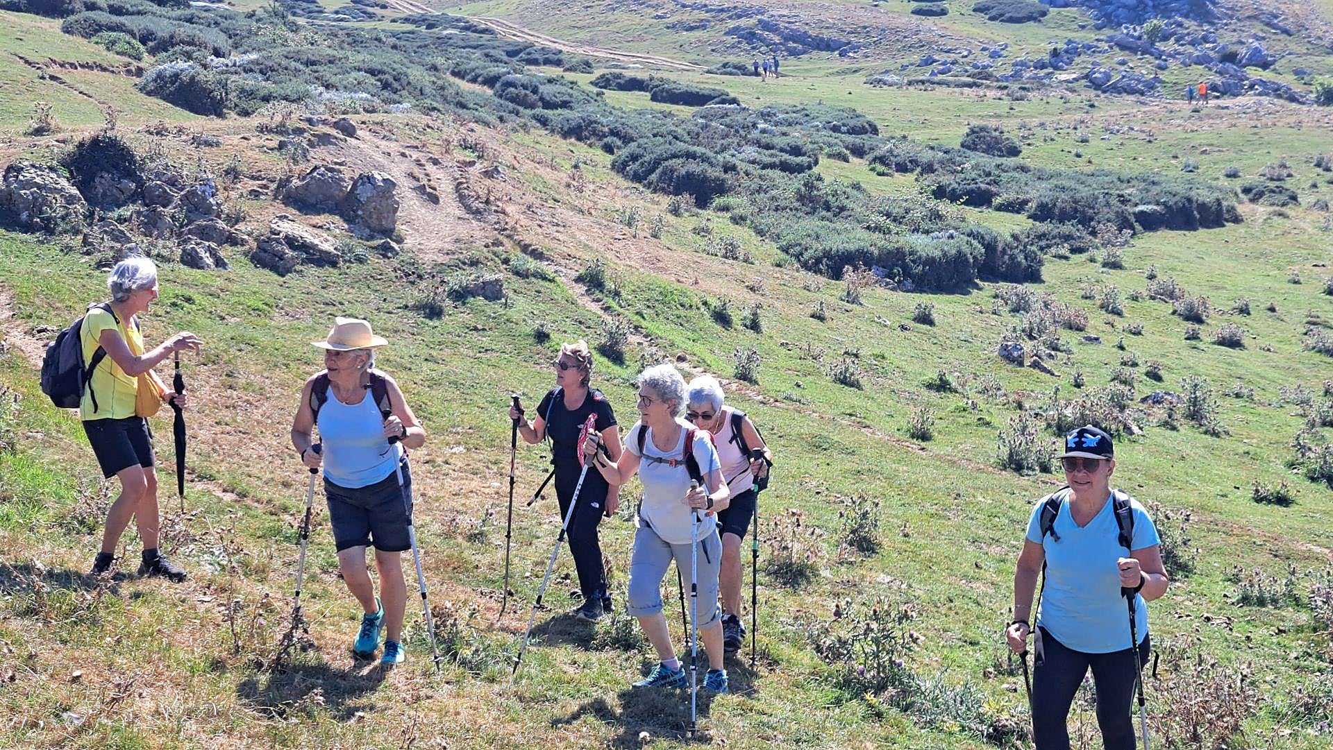 La visita de San Miguel a Igaratza, en imágenes
