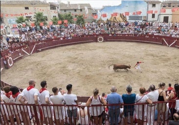 «Lo que me duele es que el ladrón se metió en la cama con mi madre»