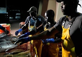 Trabajadores de origen senegalés en el puerto de Hondarribia.