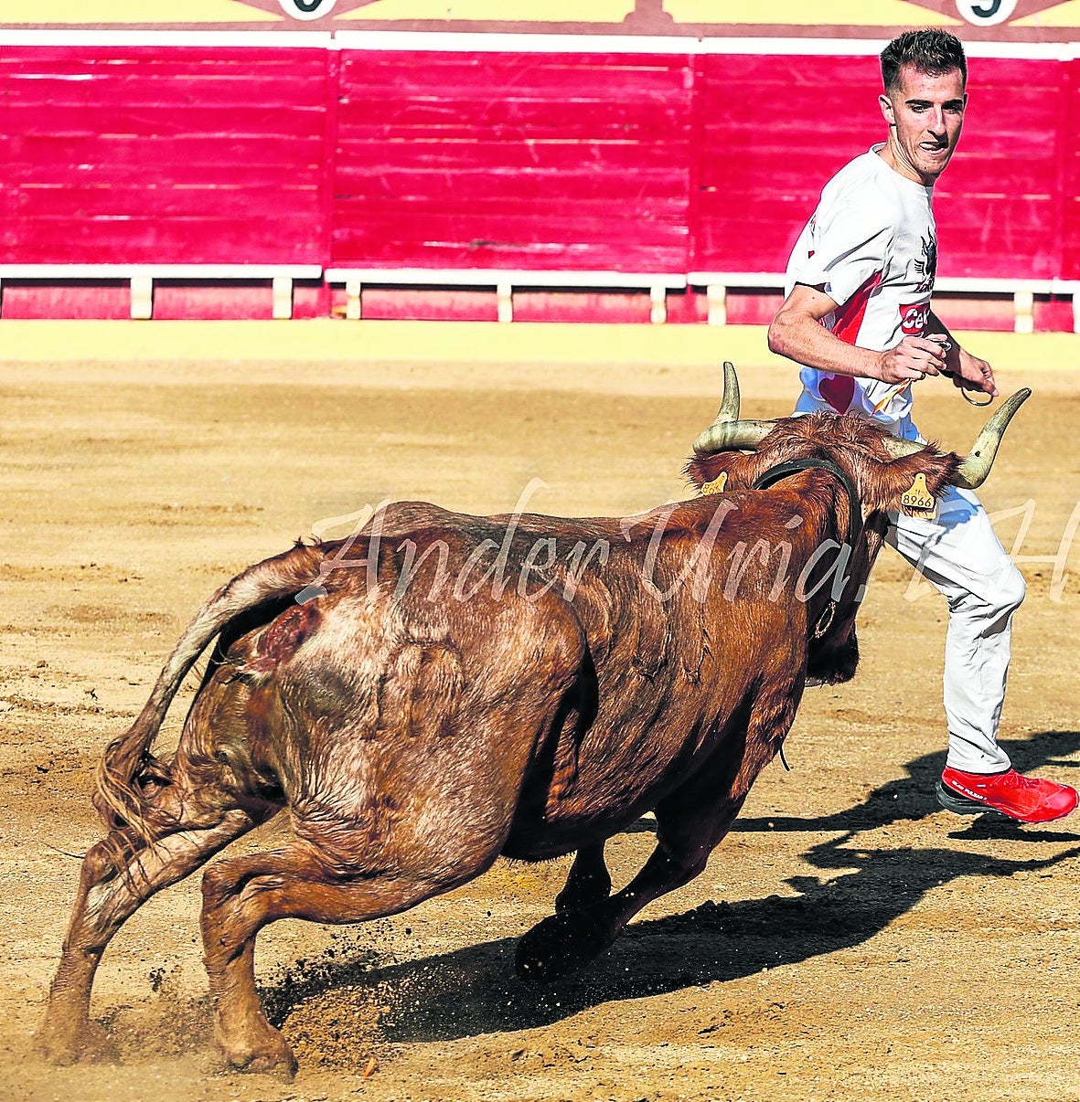 Xabier Iturralde, en el concurso de Lodosa.