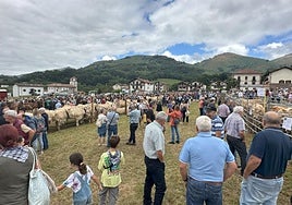 Abundante muestra de ganado en Amaiur a la queacudieron miles de personas de todala comarca y también turistas.