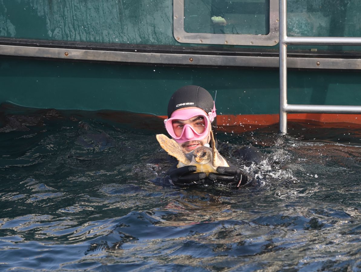 El Aquarium de San Sebastián reintroduce tres tortugas en el mar