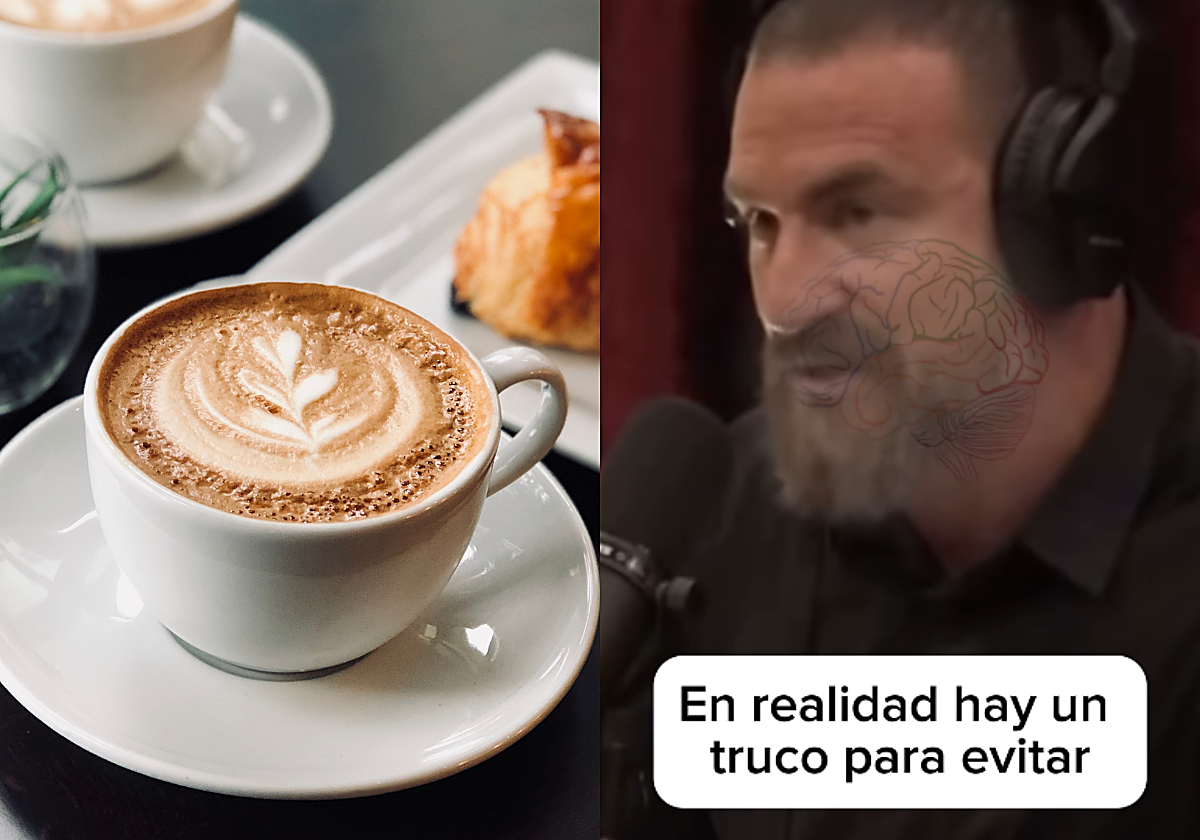 El neurocientífico Andrew David Huberman habla sobre el efecto de la cafeína y la adenosina.