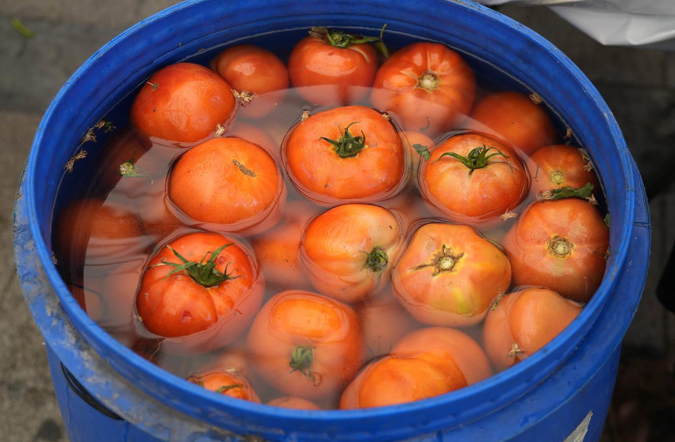 Ibarra celebra el día de San Bartolomé